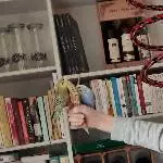 2 Wellensittiche in gute Hände abzugeben Bild 2