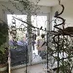 Allerliebste Rasselbande sucht neues Zuhause Bild 1