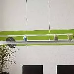 Best Buddies suchen neues Zuhause Bild 3