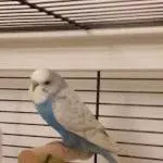 Ein neuer Partner für Juri Bild 1