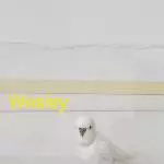 4 Wellis abzugeben Bild 4