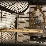6 Wellis suchen ihr Traumzuhause Bild 2