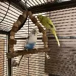 6 Wellis suchen ihr Traumzuhause Bild 5
