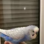 Suche neues Zuhause Bild 1