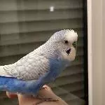 Suche neues Zuhause Bild 2