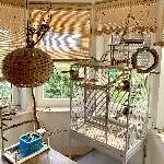 Welli-Trio sucht ein neues Zuhause Bild 2