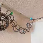 2 Welli Hennen abzugeben Bild 1