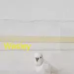 Welli-Pärchen abzugeben Bild 1