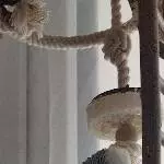 Max sucht ein liebevolles Zuhause Bild 1