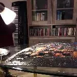 Pico sucht ein neues Zuhause in einem Welli Schwarm Bild 5