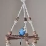 Neues Zuhause für Wellimädchen Fine 9 Jahre blau/weiß gesucht Bild 1