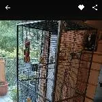 5 Wellis abzugeben Bild 1