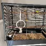 Neues zu Hause für Max Bild 2