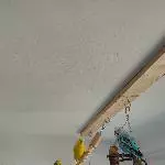 3 handzahme Wellensittiche abzugeben Bild 1