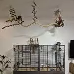 4 Wellis suchen ein neues Zuhause Bild 1