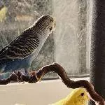 Henni und Mike suchen ein neues Zuhause Bild 1