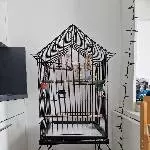 Henk sucht ein neues Zuhause Bild 2