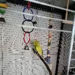 Rocky und Rambo Bild 2
