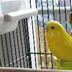 Sunny sucht ein neuen Partner Bild 1