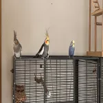 einsamer Welli-Hahn sucht Anschluss Bild 5