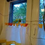 Liebevolles Zuhause/ Partner gesucht für Bonnie Bild 4