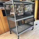 Älteres Welli-Pärchen sucht schönes Zuhaue Bild 1
