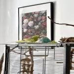 Coco & Hans suchen eine Welli WG Bild 1