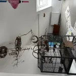 Zwei Hähne suchen liebevolles Zuhause Bild 4